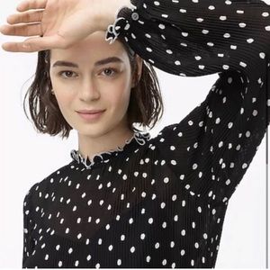 JCREW polka dot pleated dress